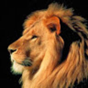 Meet your Posher, Dale